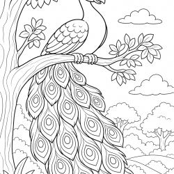 Desenho de Pavao para colorir e imprimir: número 11