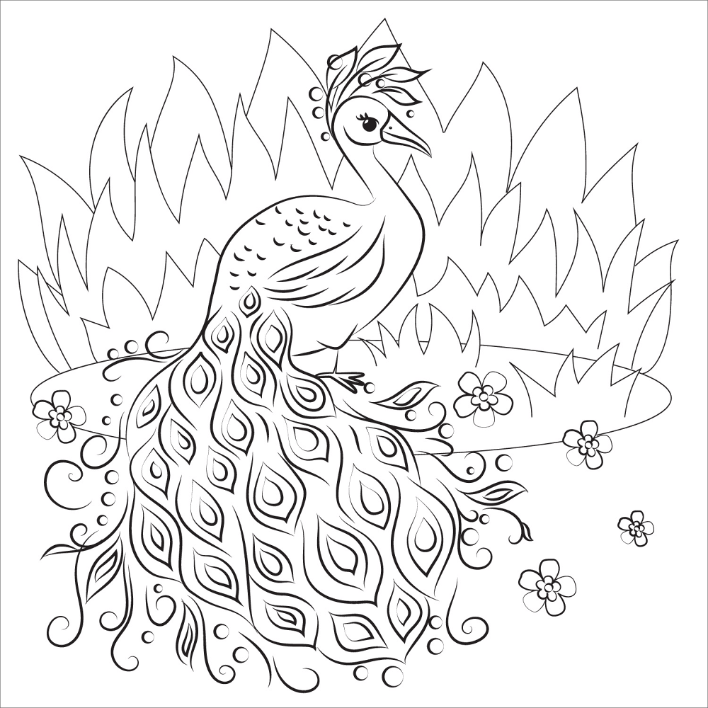Desenho de Pavões para colorir e imprimir: número 4