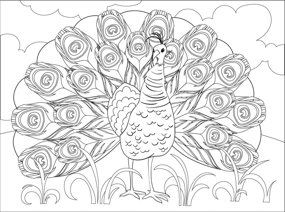 Desenho de Pavões para colorir e imprimir: número 7
