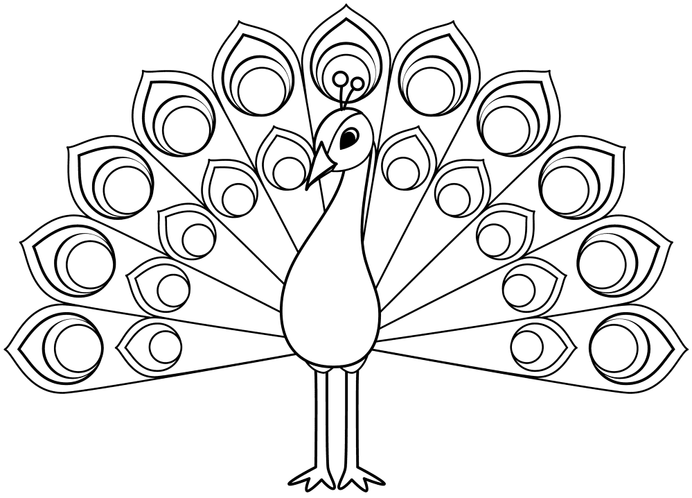 Desenho de Pavões para colorir e imprimir: número 9