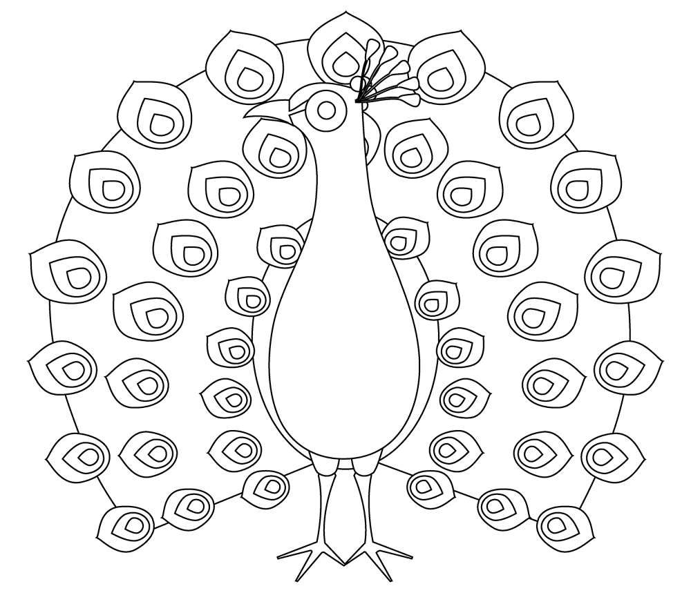 Desenho de Pavões para colorir e imprimir: número 11
