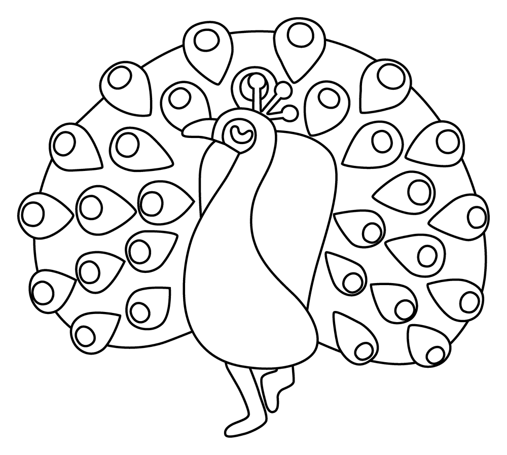 Desenho de Pavões para colorir e imprimir: número 12