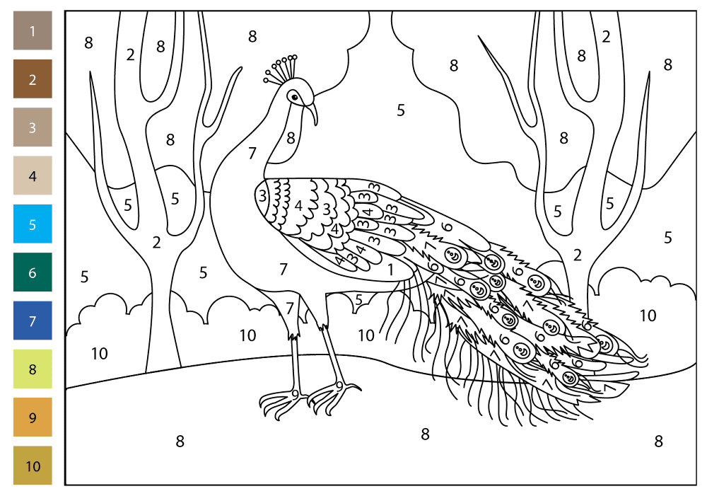 Desenho de Pavões para colorir e imprimir: número 15