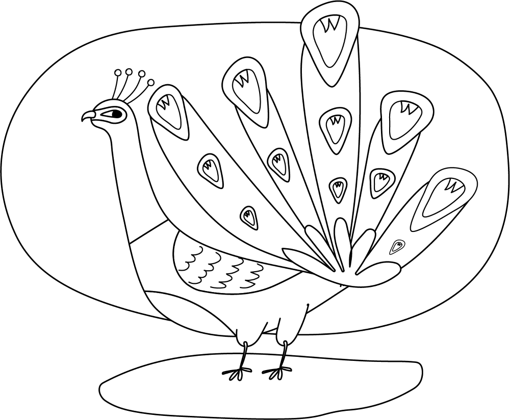 Desenho de Pavões para colorir e imprimir: número 16