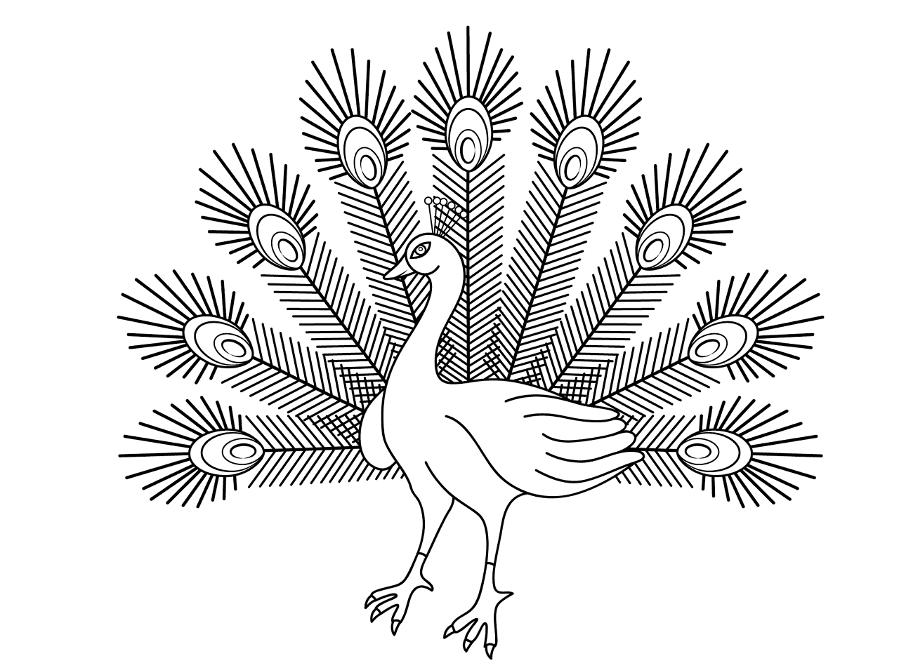 Desenho de Pavões para colorir e imprimir: número 24