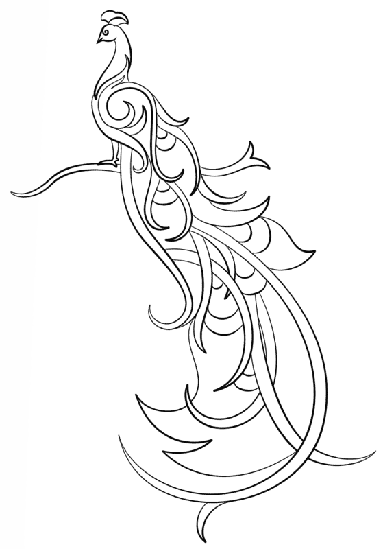Desenho de Pavões para colorir e imprimir: número 29