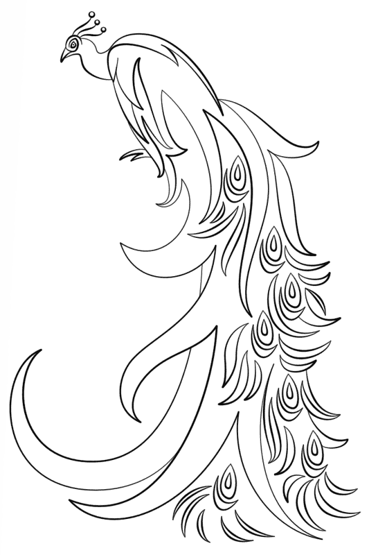 Desenho de Pavões para colorir e imprimir: número 30