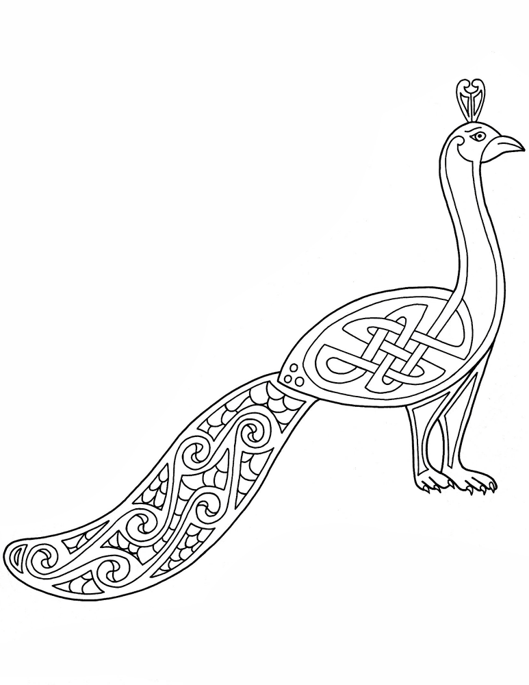 Desenho de Pavões para colorir e imprimir: número 34