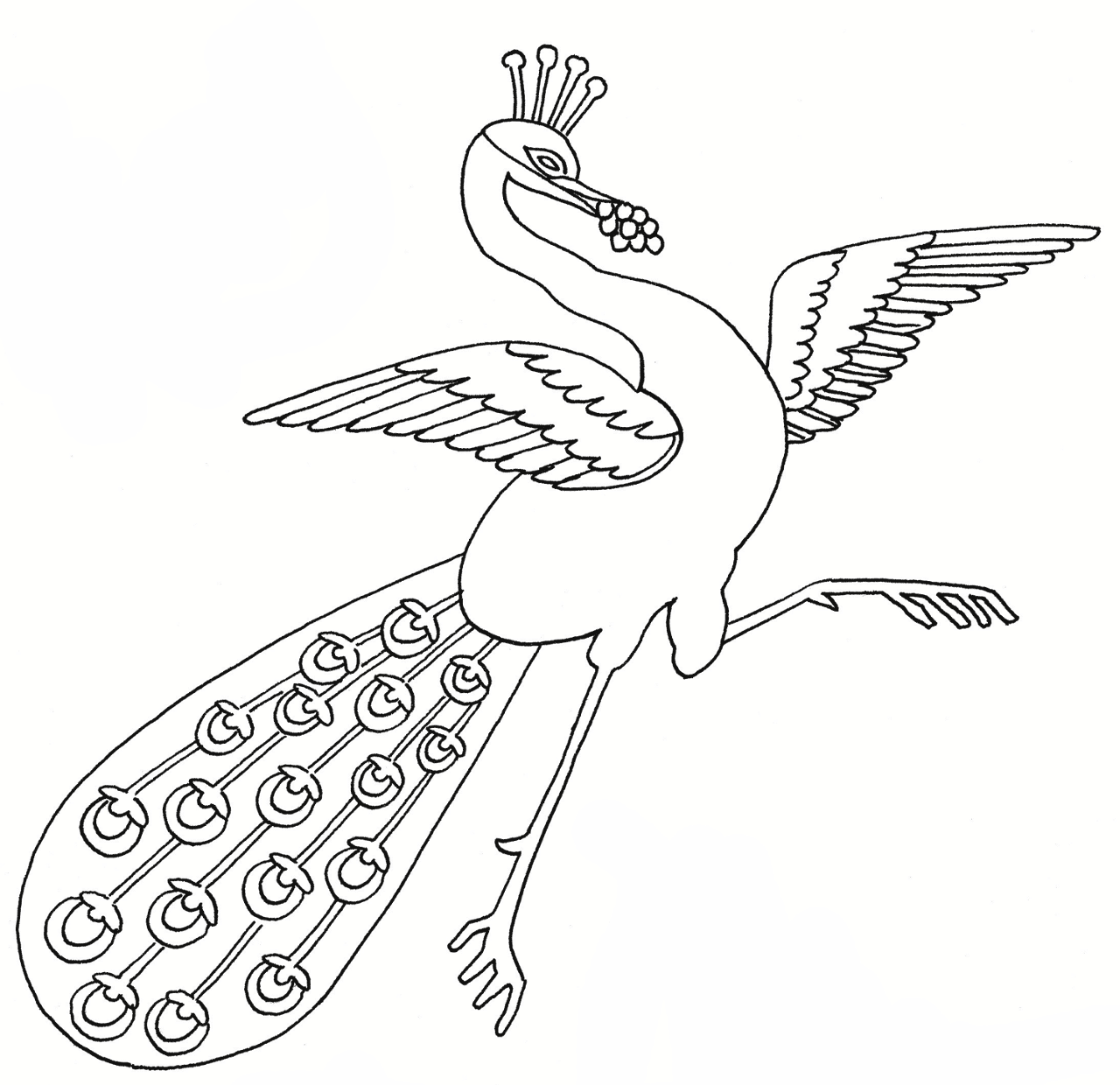 Desenho de Pavões para colorir e imprimir: número 37