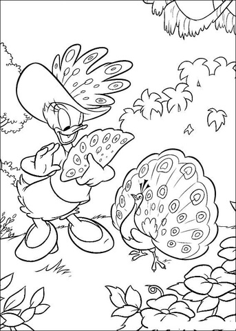 Desenho de Pavões para colorir e imprimir: número 38