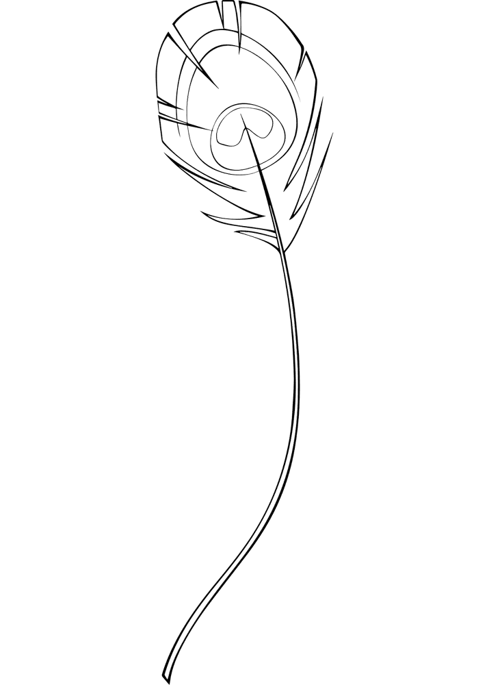 Desenho de Pavões para colorir e imprimir: número 39