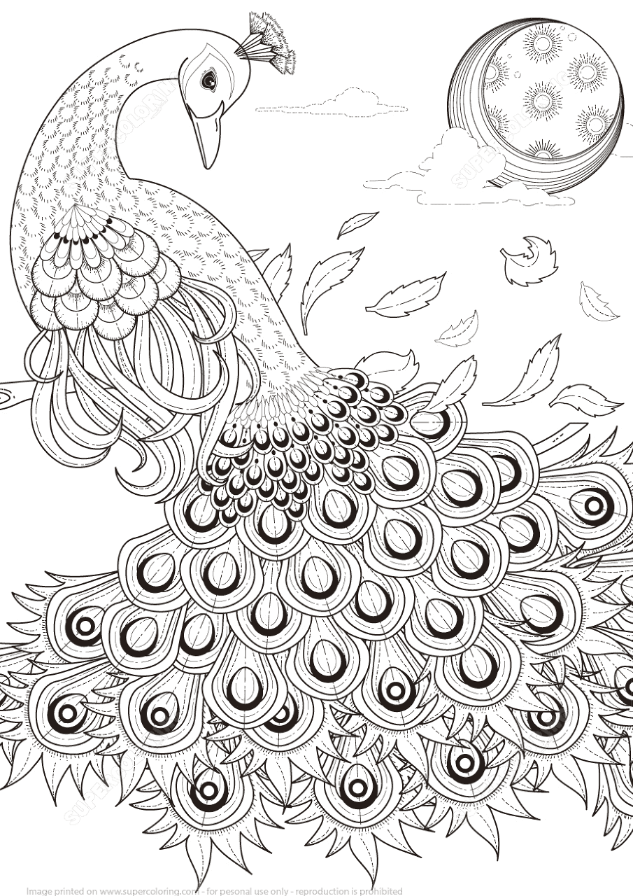 Desenho de Pavões para colorir e imprimir: número 42