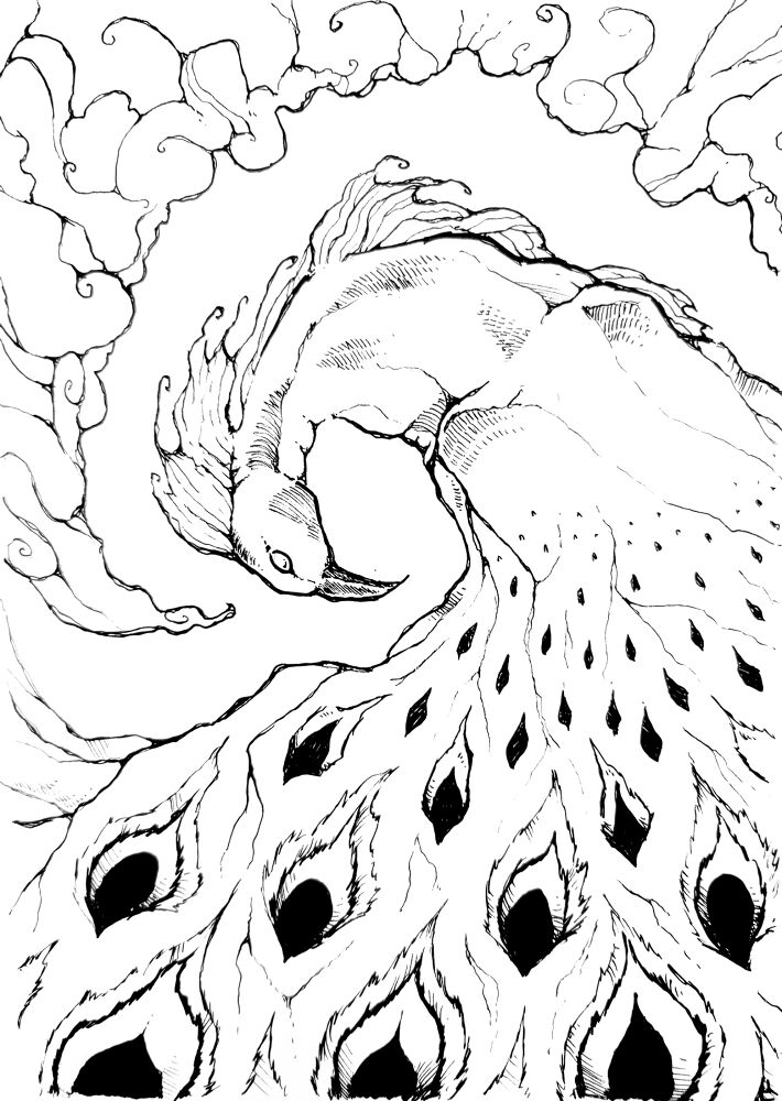 Desenho de Pavões para colorir e imprimir: número 45