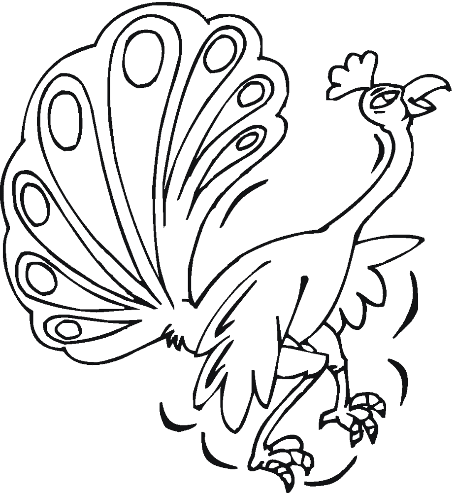 Desenho de Pavões para colorir