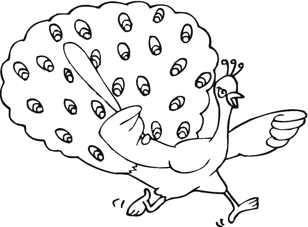 Desenho de Pavões para colorir