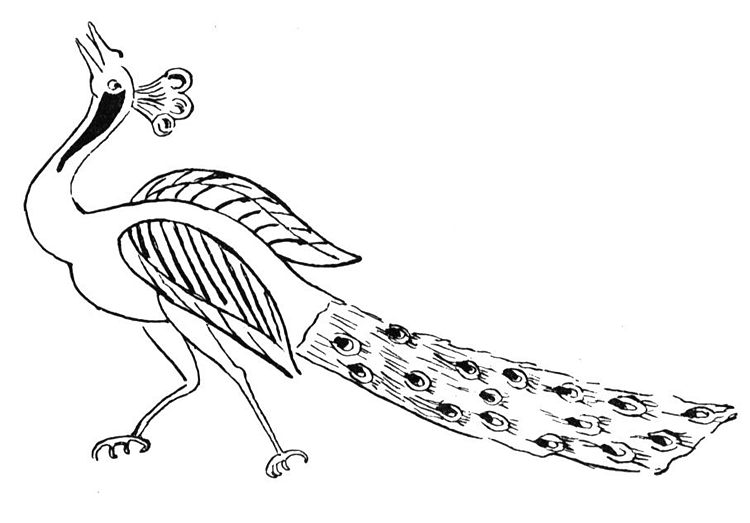 Desenho de Pavões para colorir