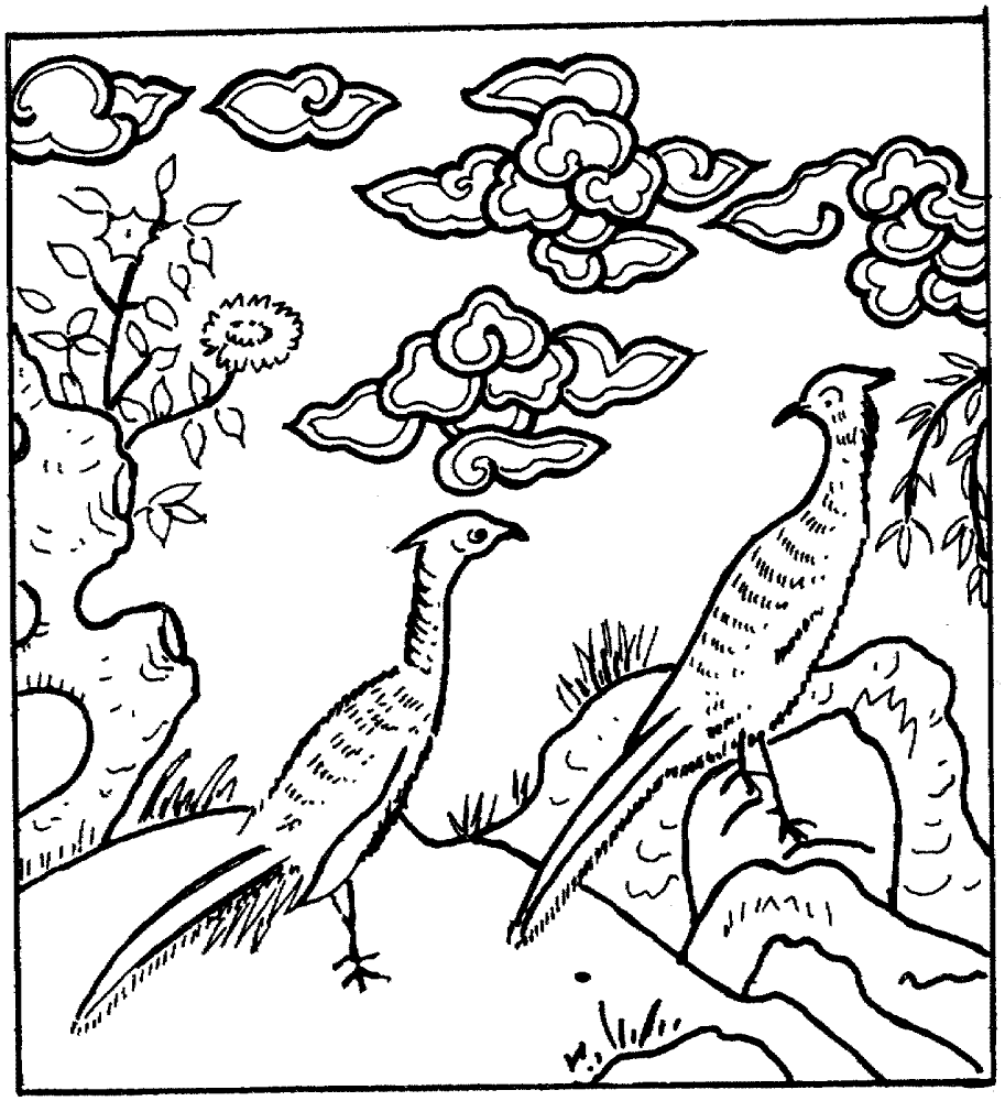 Desenho de Pavões para colorir