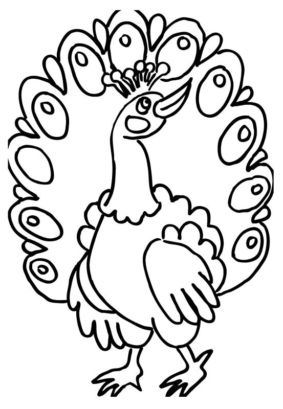 Desenho de Pavões para colorir