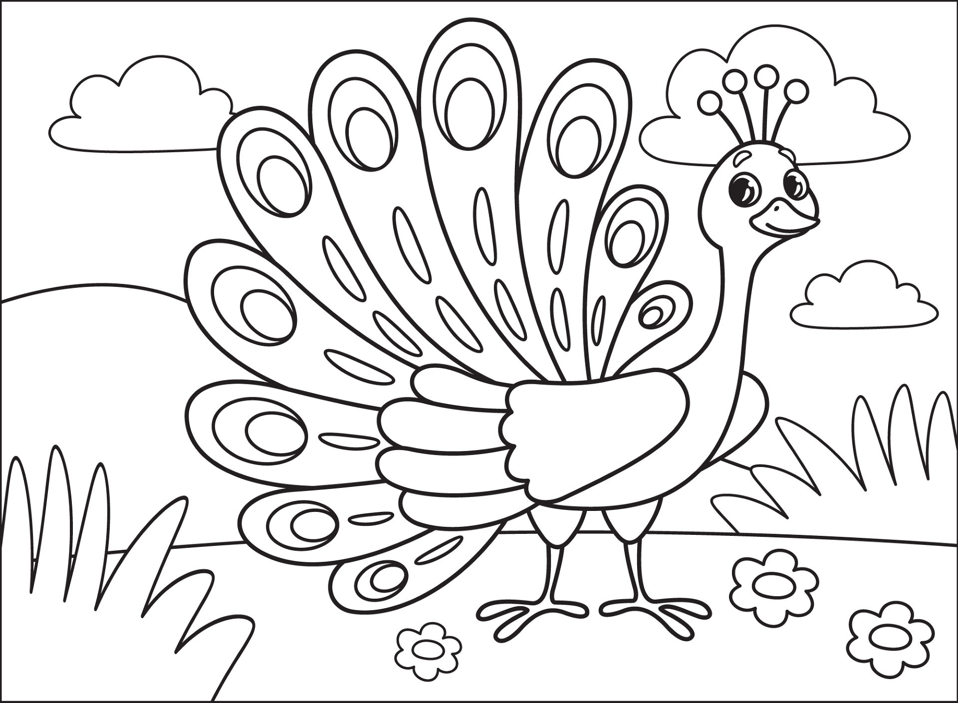 Desenho de Pavões para colorir