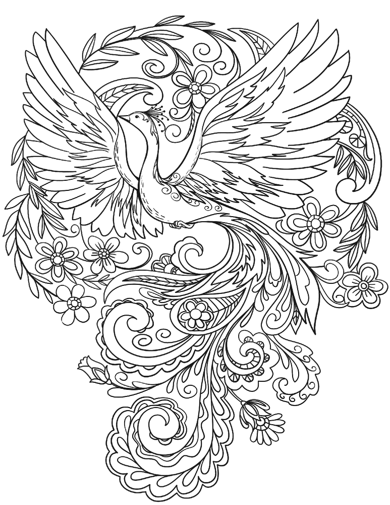 Desenho de Pavões para colorir