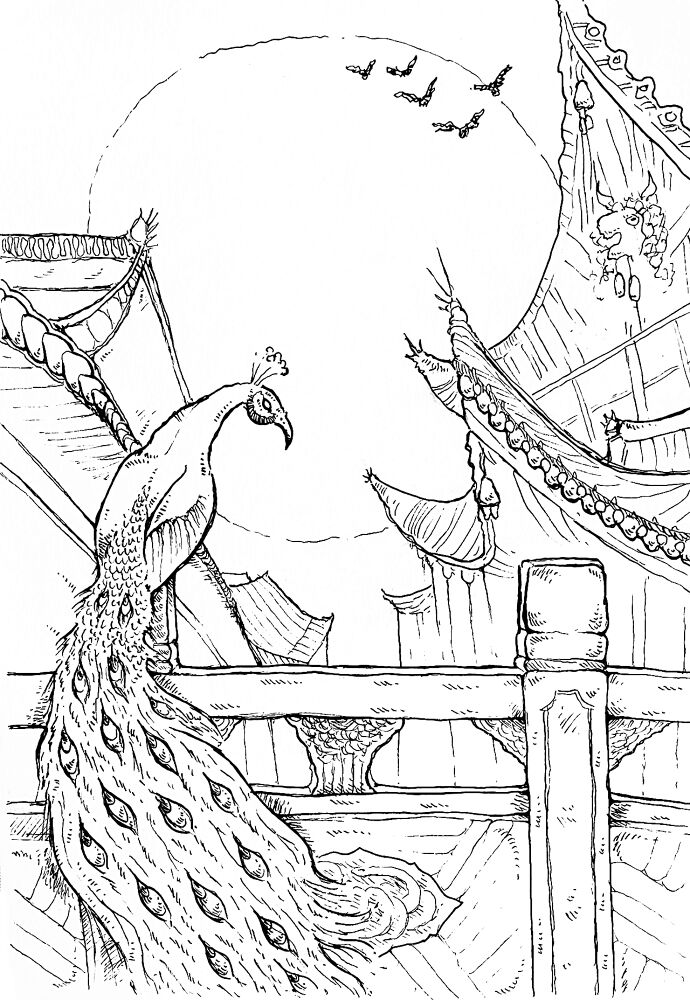 Desenho de Pavões para colorir