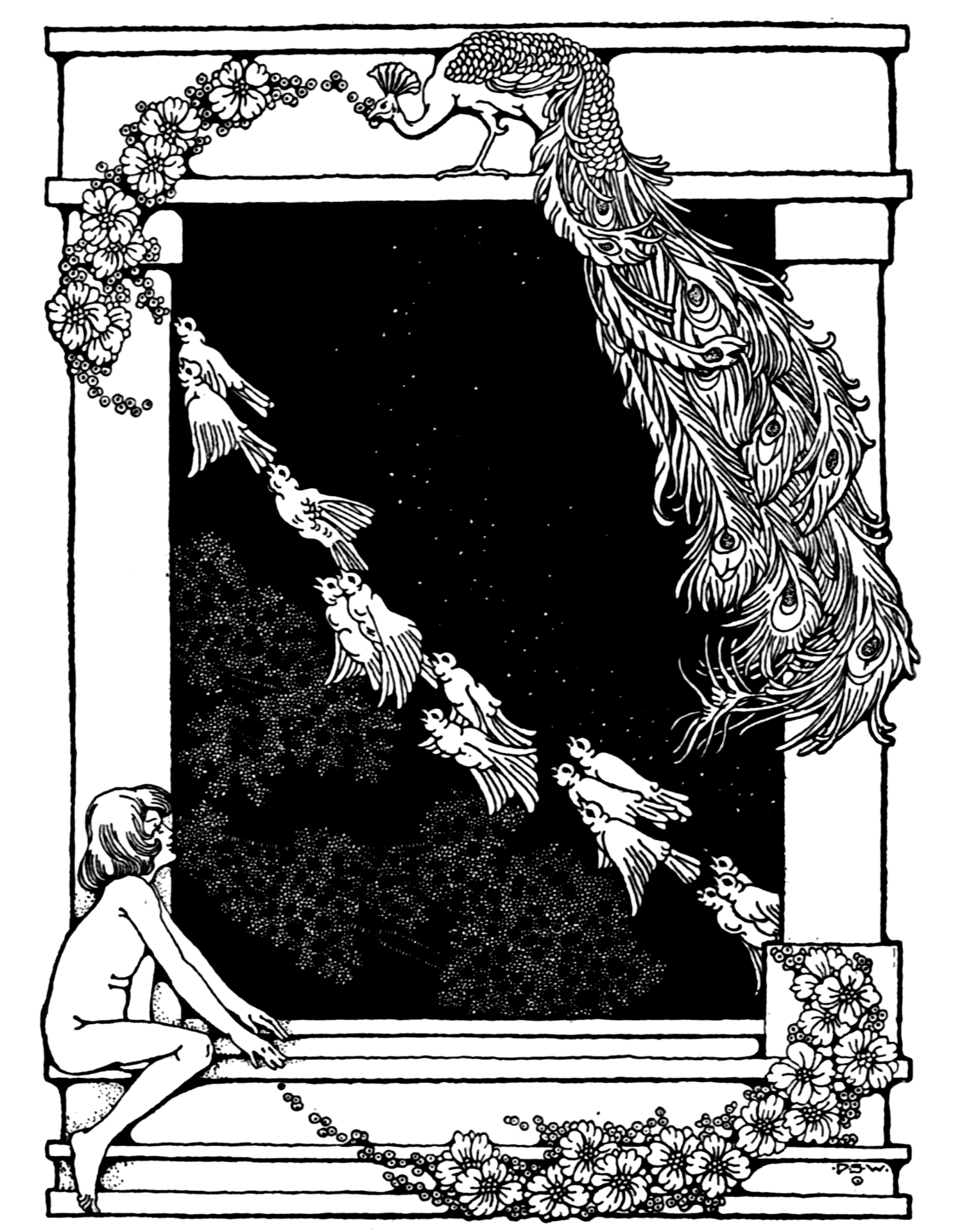 Desenho de Pavões para colorir