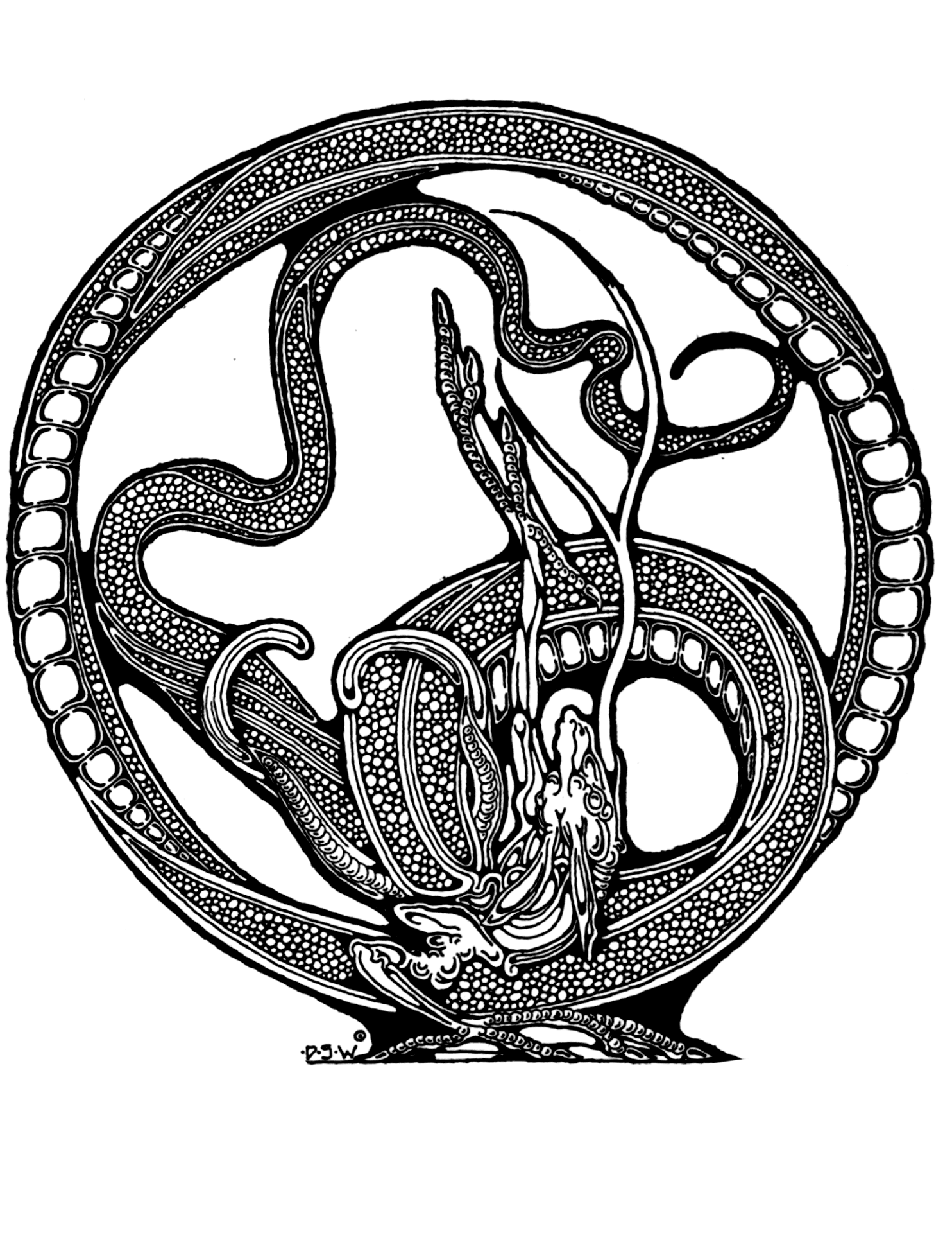 Desenho de Pavões para colorir