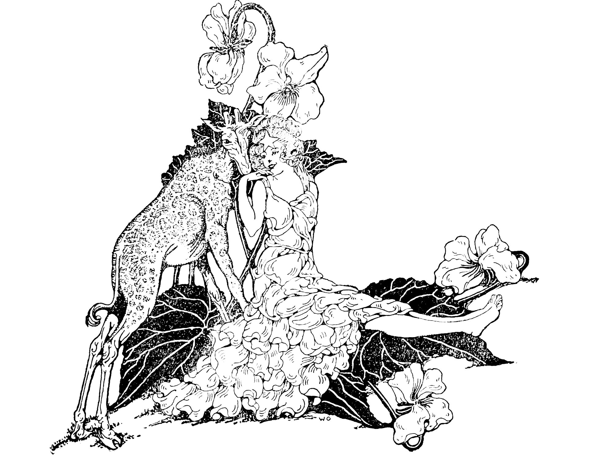 Desenho de Pavões para colorir