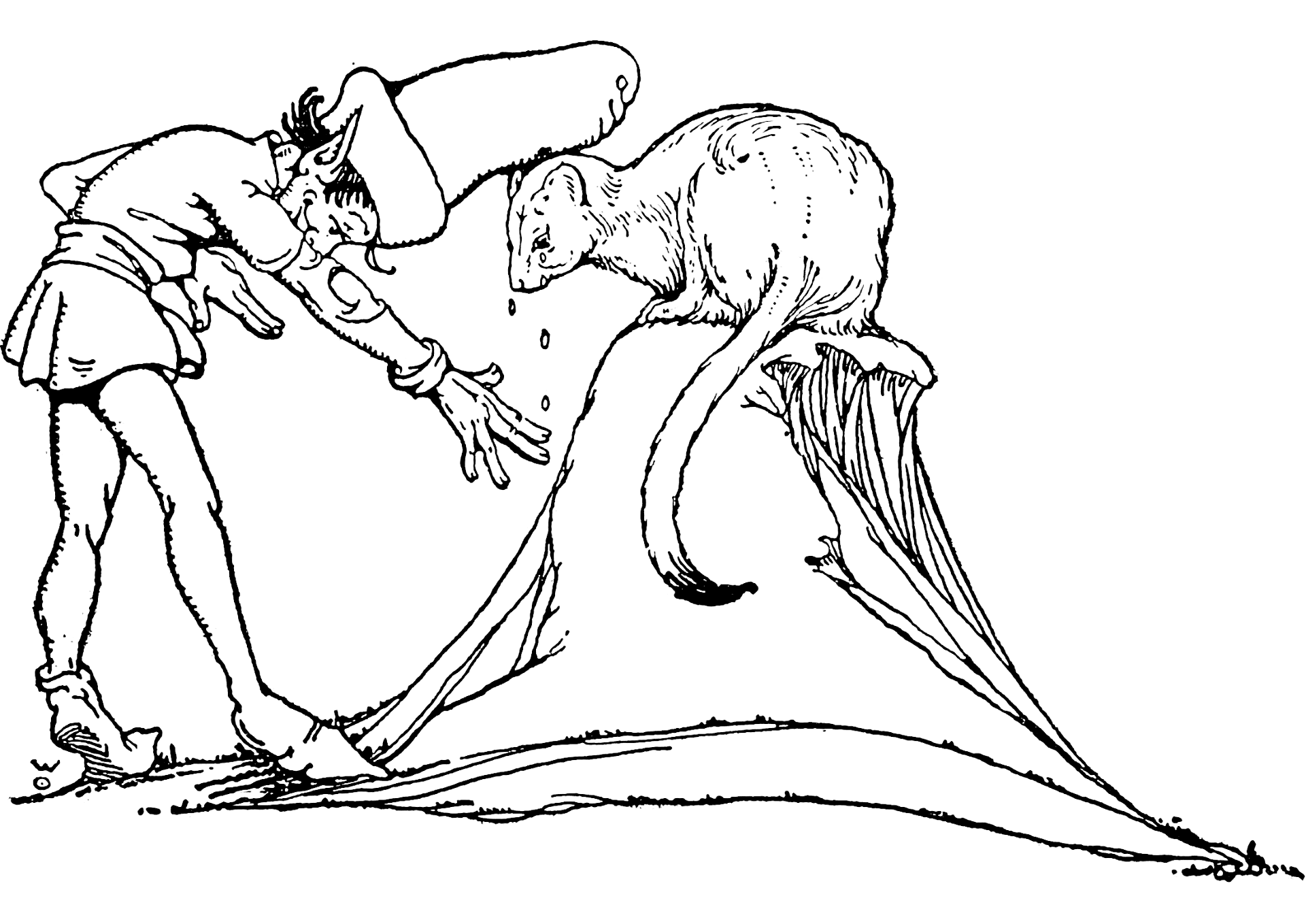 Desenho de Pavões para colorir