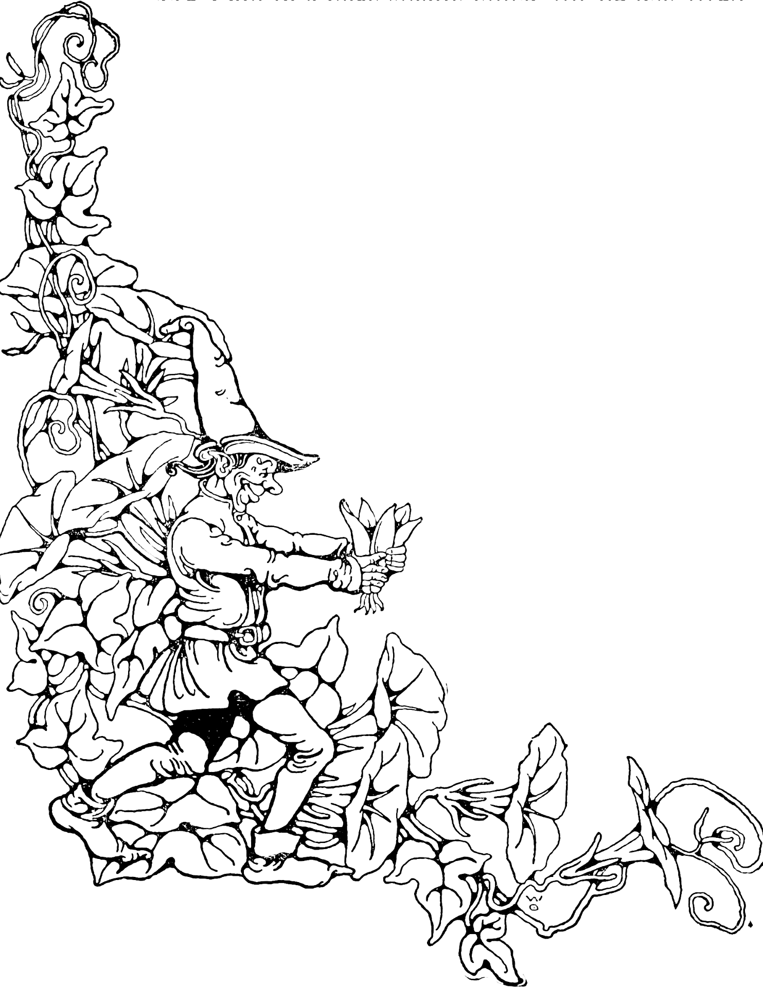 Desenho de Pavões para colorir