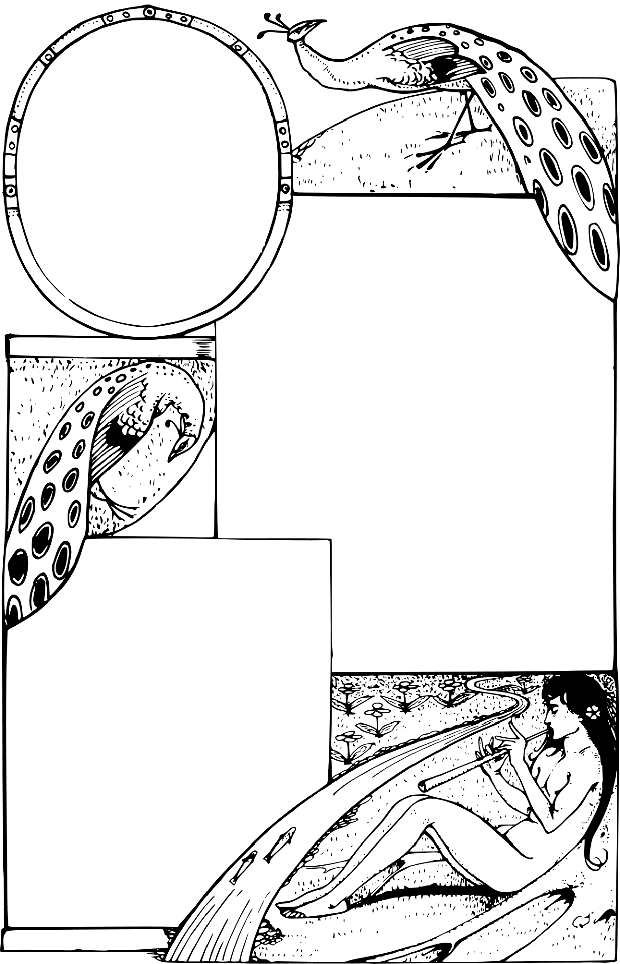 Desenho de Pavões para colorir