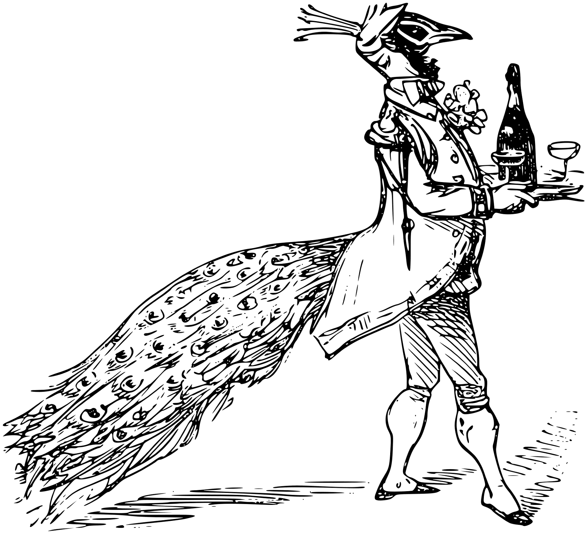 Desenho de Pavões para colorir