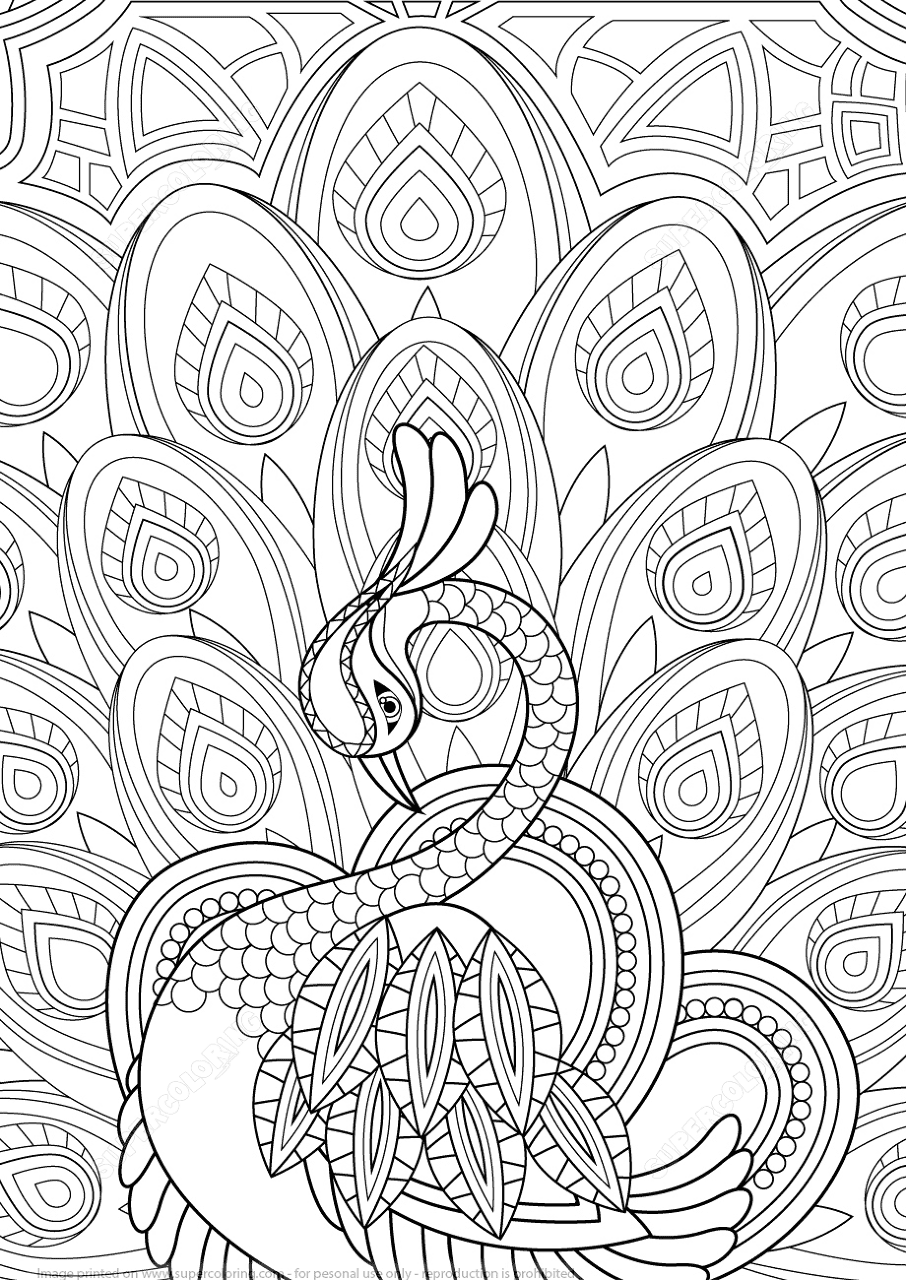 Desenho de Pavões para colorir