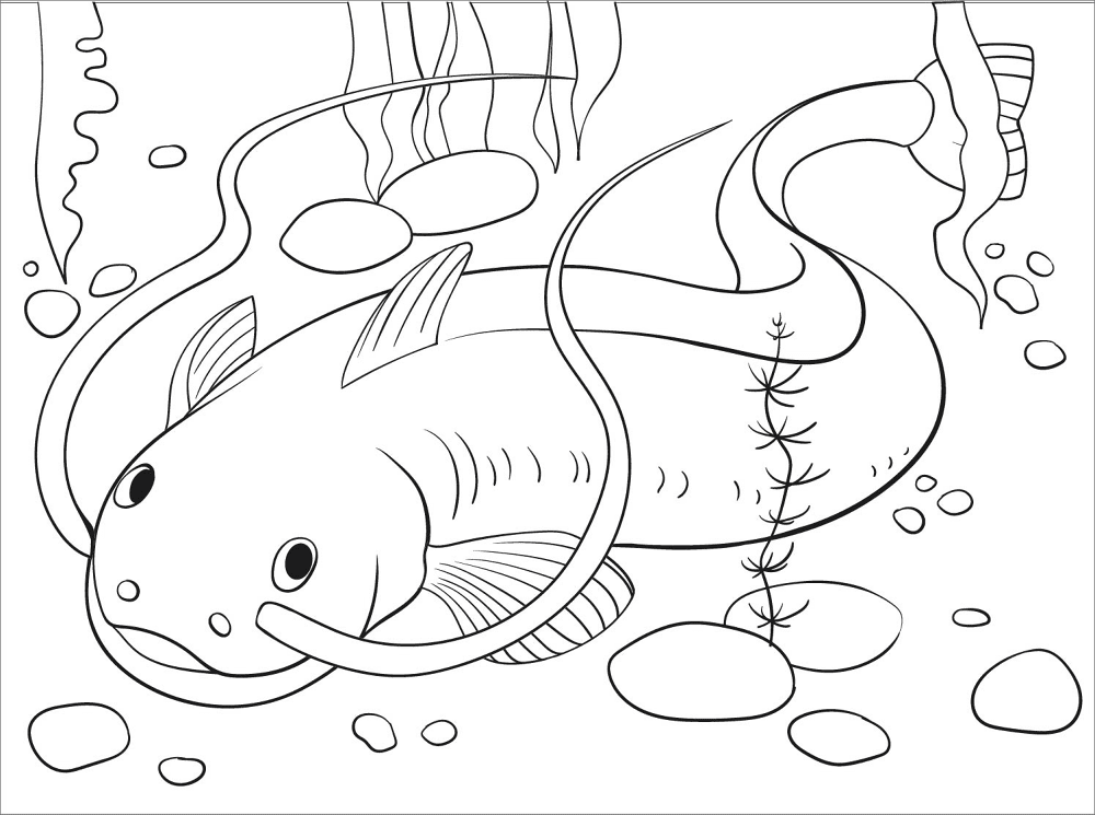 Desenho de Peixes para colorir e imprimir: número 2