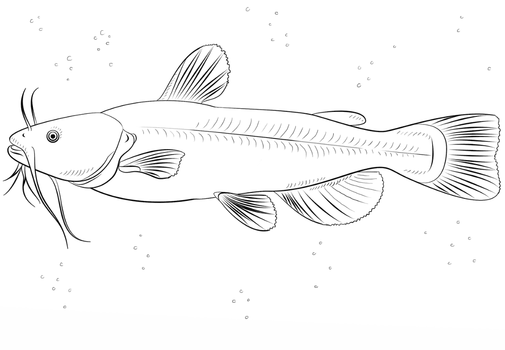 Desenho de Peixes para colorir e imprimir: número 4