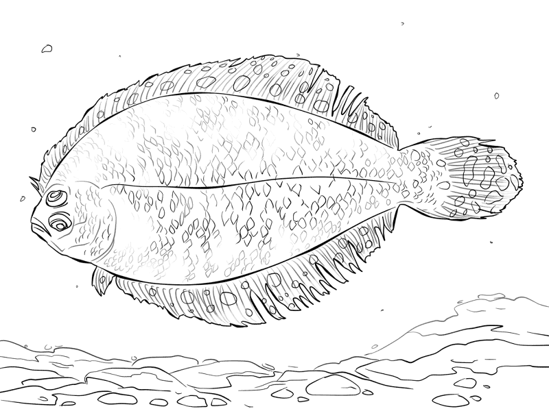Desenho de Peixes para colorir e imprimir: número 7