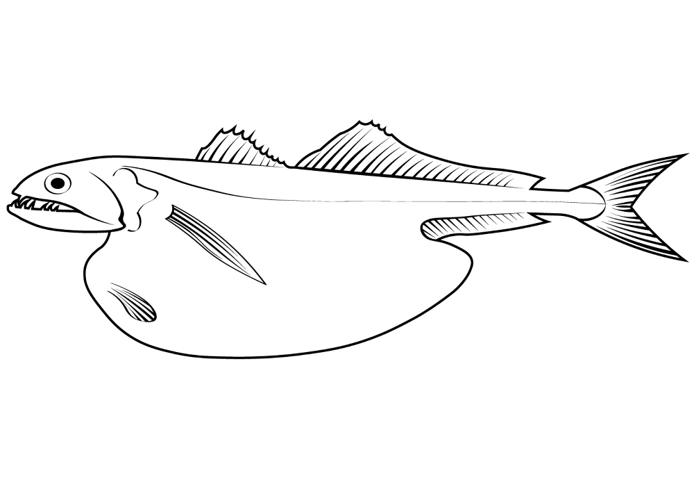 Desenho de Peixes para colorir e imprimir: número 8