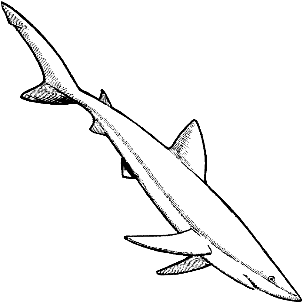 Desenho de Peixes para colorir e imprimir: número 9