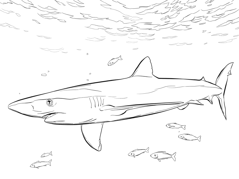 Desenho de Peixes para colorir e imprimir: número 10