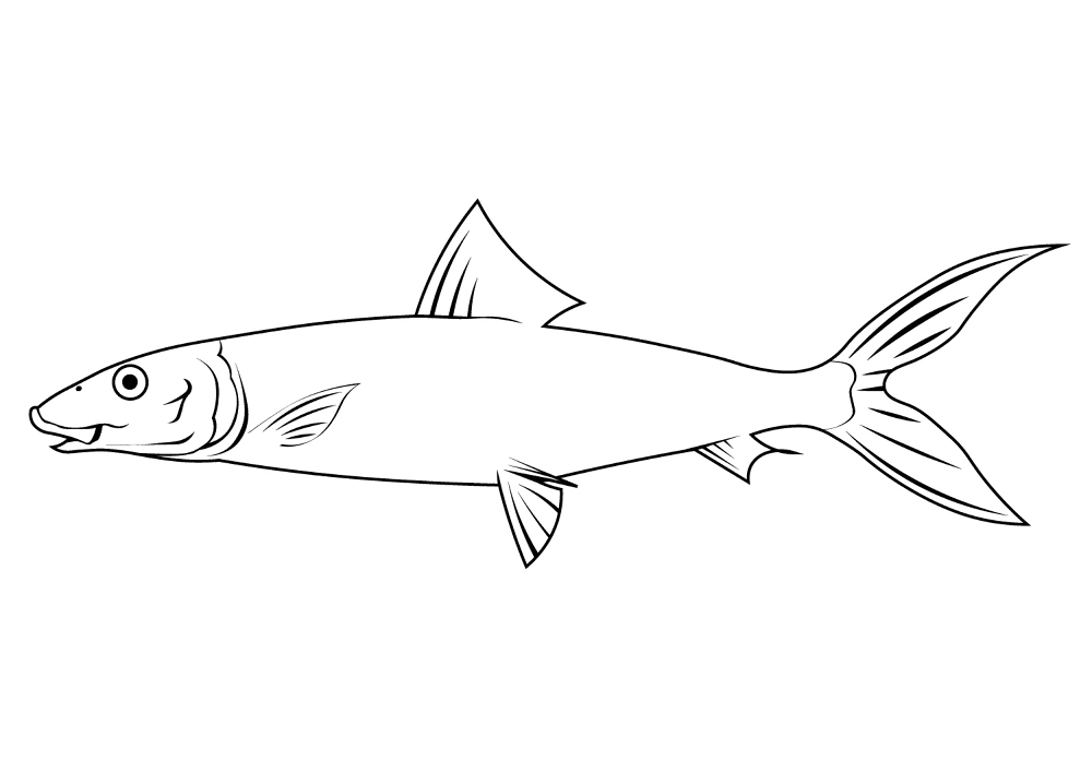 Desenho de Peixes para colorir e imprimir: número 12