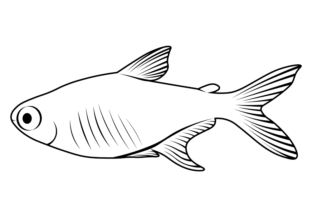 Desenho de Peixes para colorir e imprimir: número 20