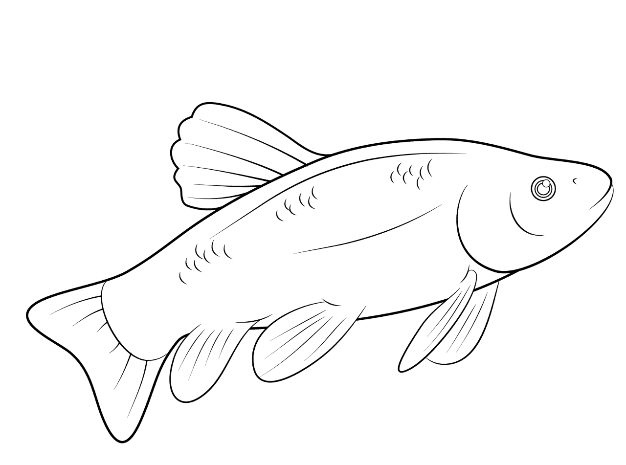 Desenho de Peixes para colorir e imprimir: número 21