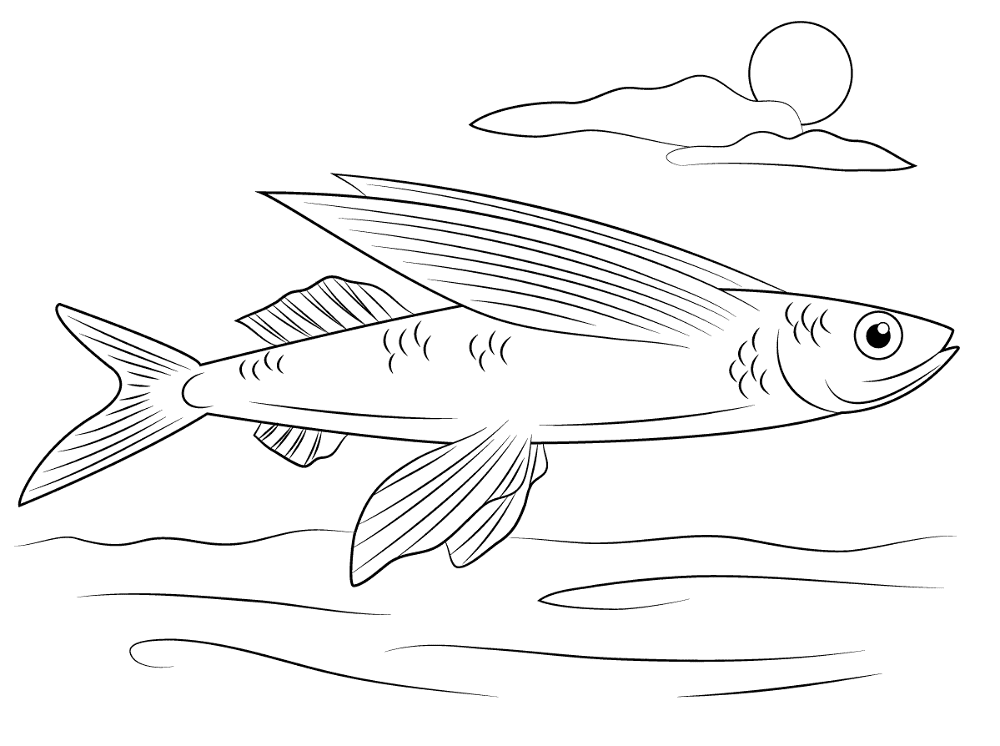 Desenho de Peixes para colorir e imprimir: número 22