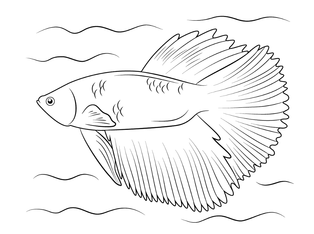 Desenho de Peixes para colorir e imprimir: número 25