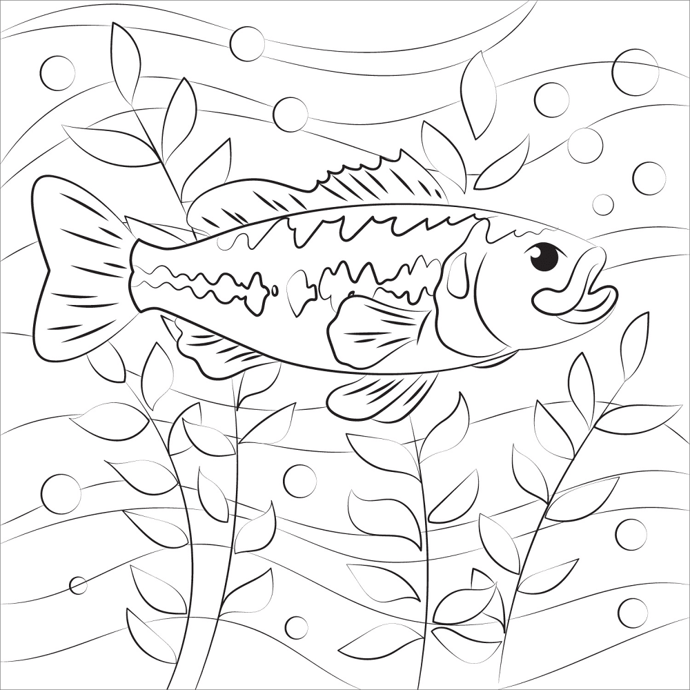 Desenho de Peixes para colorir e imprimir: número 30