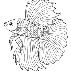 Desenho de Peixes para colorir e imprimir: número 42