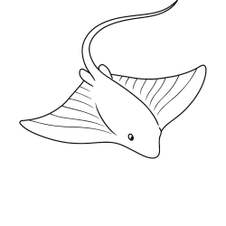 Desenho de Peixes para colorir