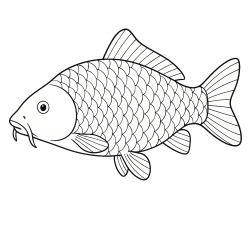 Desenho de Peixes para colorir