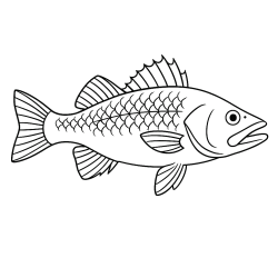 Desenho de Peixes para colorir