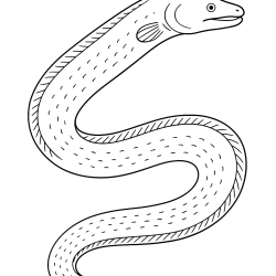 Desenho de Peixes para colorir